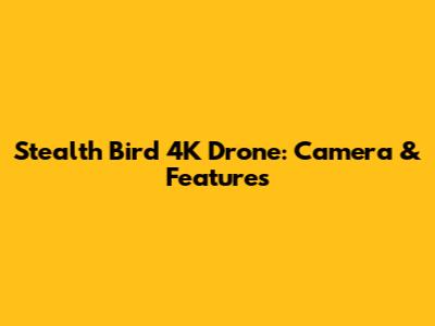 Stealth Bird 4K Drone: Camera & Features